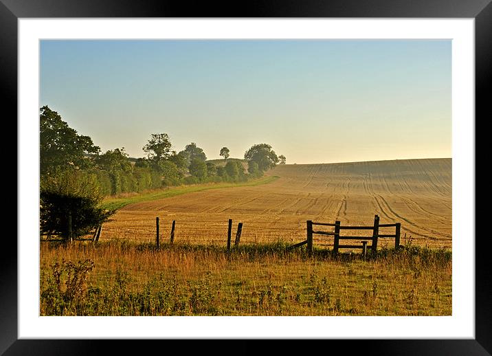 The Stile Framed Mounted Print by graham young