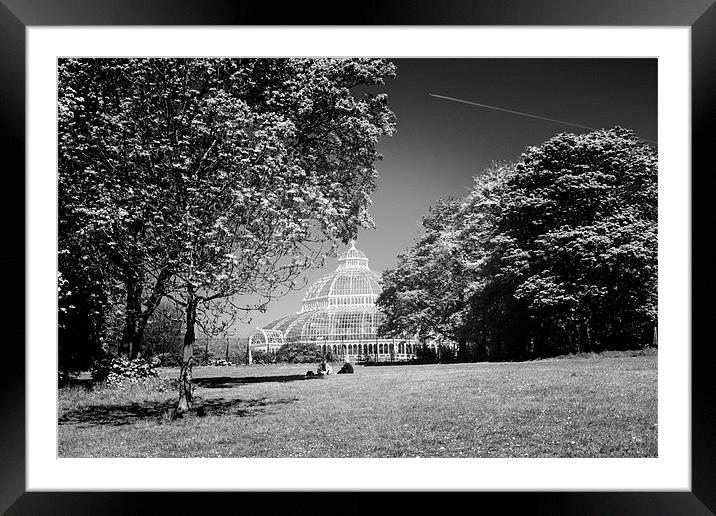 Palm House Sefton Park Framed Mounted Print by phillip murphy