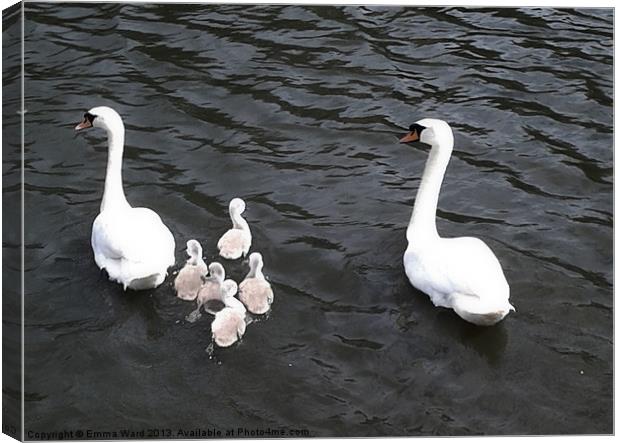 7 swans swimming 2 Canvas Print by Emma Ward