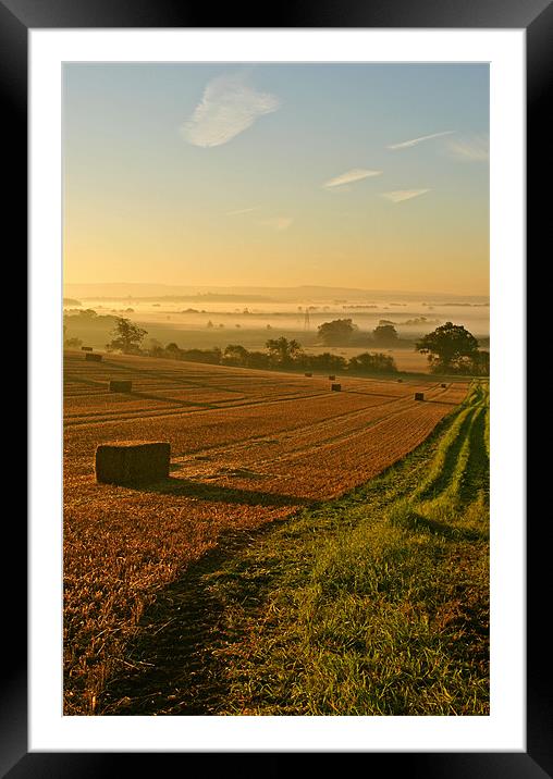 Harvest Time Mist Framed Mounted Print by graham young