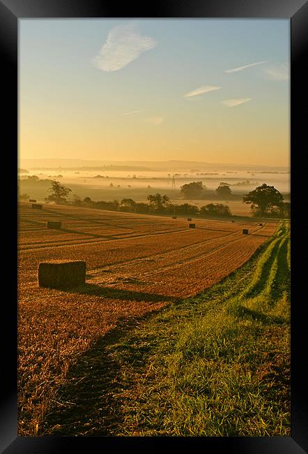 Harvest Time Mist Framed Print by graham young