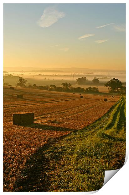 Harvest Time Mist Print by graham young