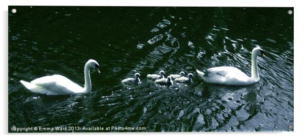 7 swans swimming 4 Acrylic by Emma Ward