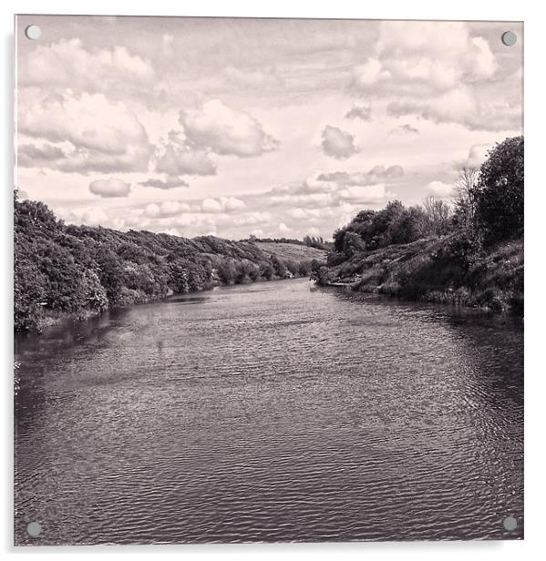 River Weaver 2 Acrylic by Emma Ward