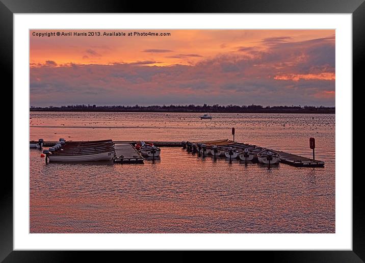 Moored Boats at sunset Framed Mounted Print by Avril Harris