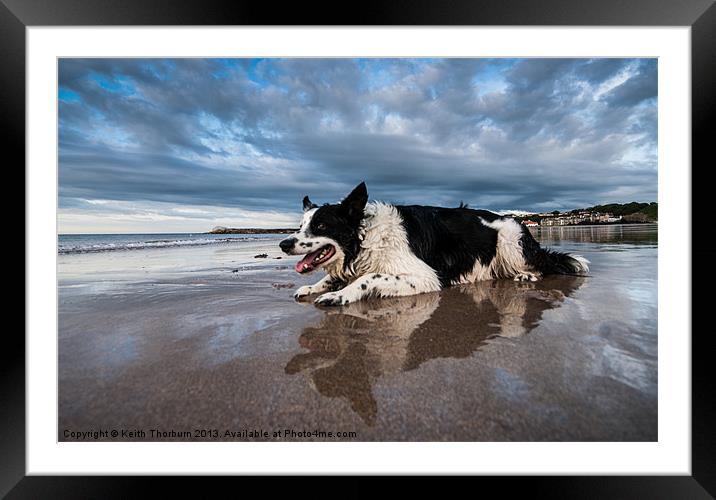 Border Collie Framed Mounted Print by Keith Thorburn EFIAP/b