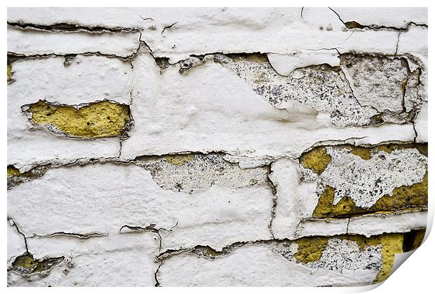 Old brick wall Print by Marta Denkova-Hristova