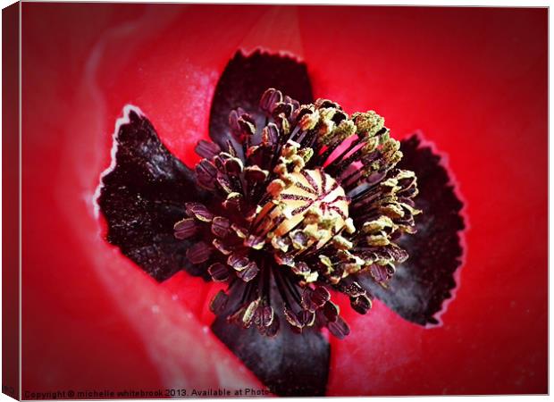 Poppy close up Canvas Print by michelle whitebrook