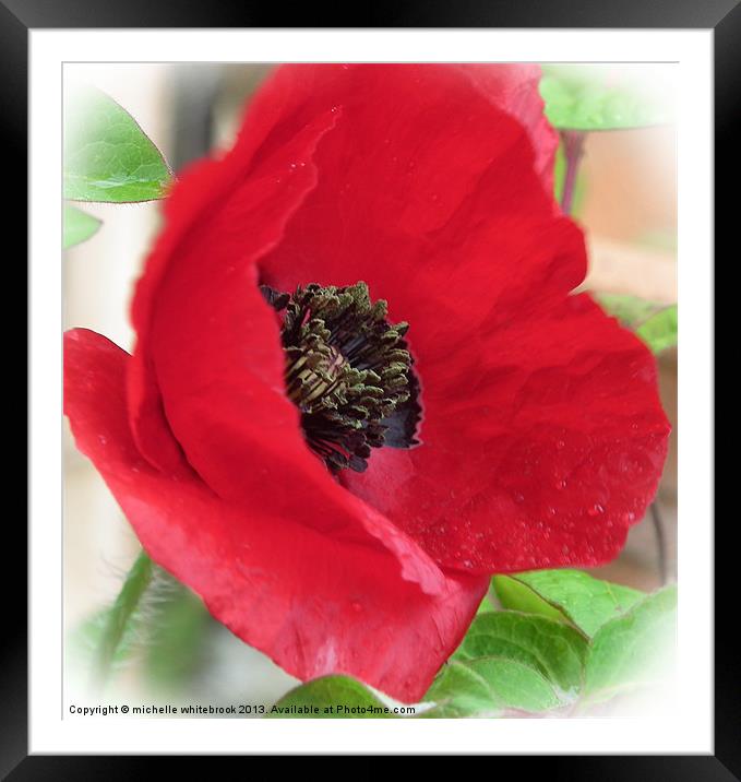 Poppy Garden Framed Mounted Print by michelle whitebrook