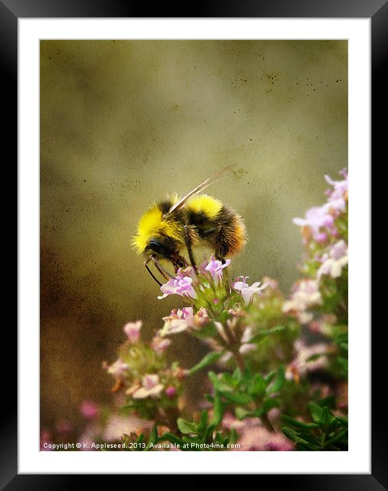 Bee on Thyme flowers Vintage Finish Framed Mounted Print by K. Appleseed.