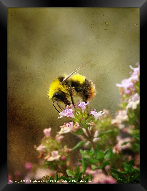 Bee on Thyme flowers Vintage Finish Framed Print by K. Appleseed.