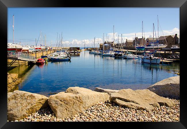 Lossiemouth Habour in summer Framed Print by Lloyd Fudge