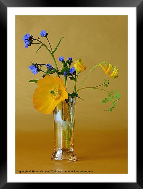 GOLD & BLUE Framed Mounted Print by Helen Cullens