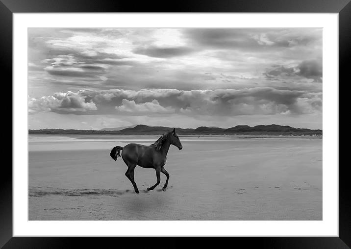 Run like the wind Framed Mounted Print by Matthew Laming