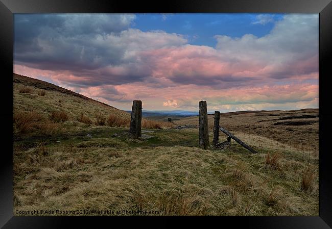 The old gateway Framed Print by Ade Robbins