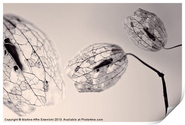 Floral lamps Print by Martine Affre Eisenlohr