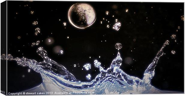 Water world Canvas Print by stewart oakes