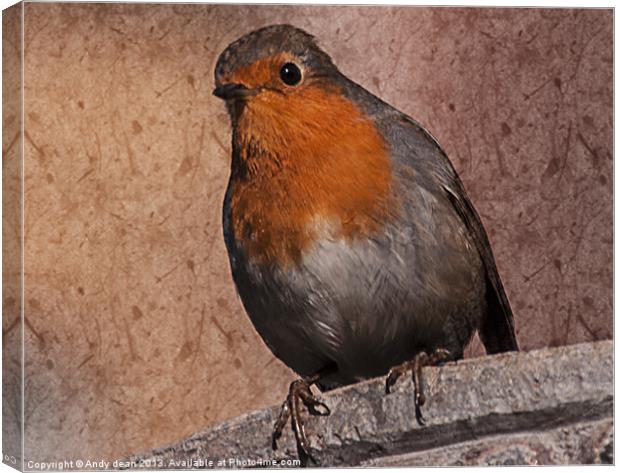 Robin & Texture Canvas Print by Andy dean