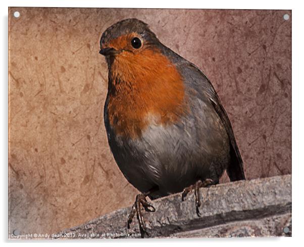 Robin & Texture Acrylic by Andy dean