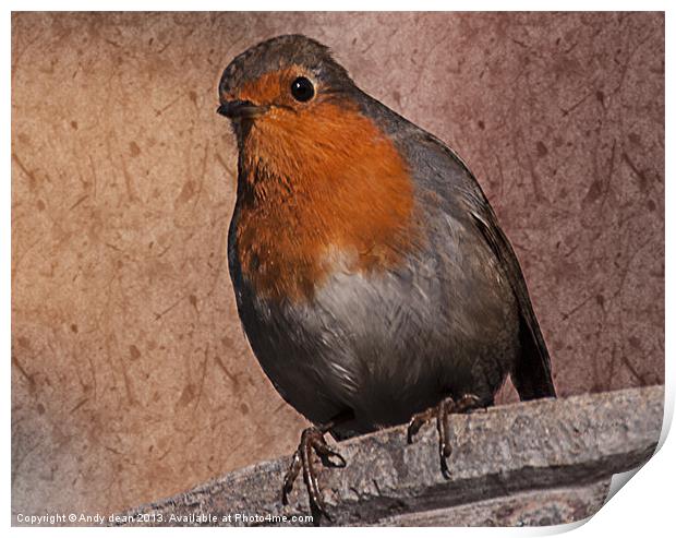 Robin & Texture Print by Andy dean