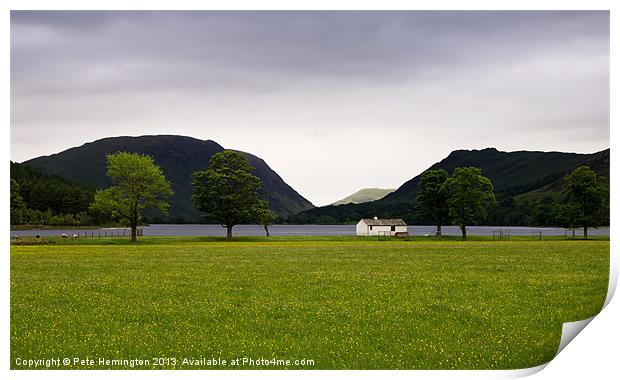 Buttercups and  Buttermere Print by Pete Hemington