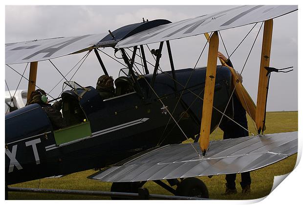 tigermoth Print by tom crockford