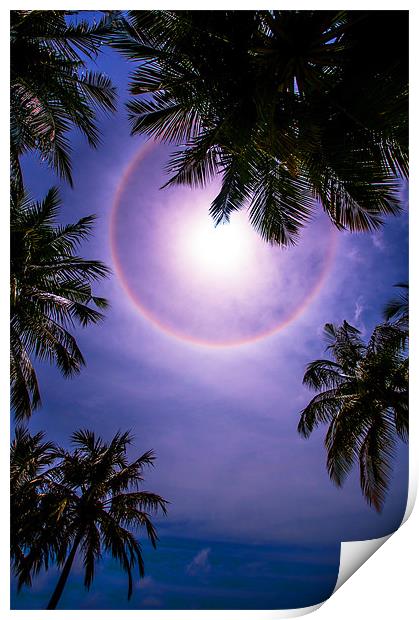 Sun Halo. Maldives Print by Jenny Rainbow