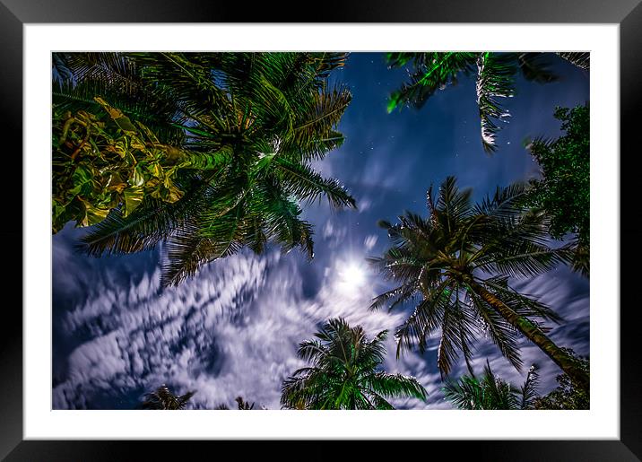 Tropical Night Sky Framed Mounted Print by Jenny Rainbow