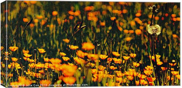 Buttercup Clocks Canvas Print by Julie Coe