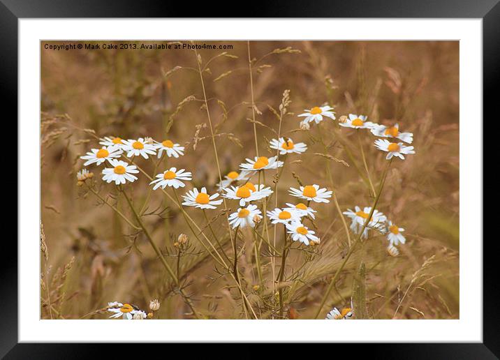 English meadow Framed Mounted Print by Mark Cake