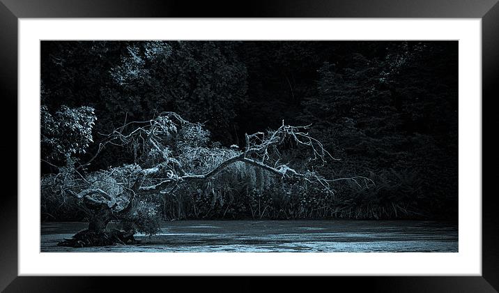 Ghost Tree 2 Framed Mounted Print by Liam Spence