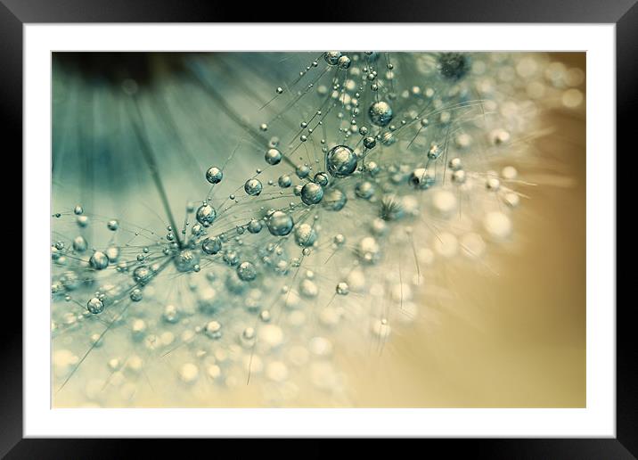 Sea Green Sparkles Framed Mounted Print by Sharon Johnstone
