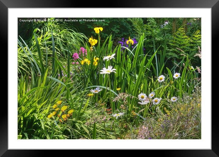 Summer Foliage and Flowers Framed Mounted Print by Nicola Clark