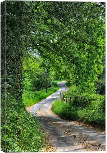 To Edgefield - Colour Canvas Print by Julie Coe