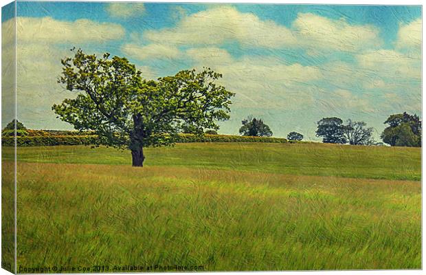Field of Texture! Canvas Print by Julie Coe