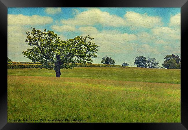 Field of Texture! Framed Print by Julie Coe