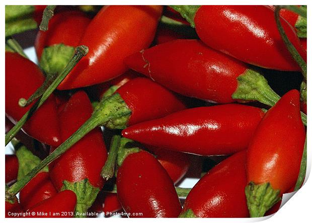 Red Chilli Print by Thanet Photos