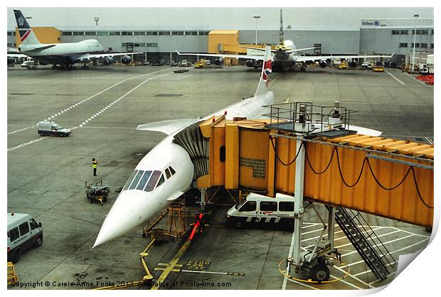 Concorde at Heathrow London Print by Carole-Anne Fooks