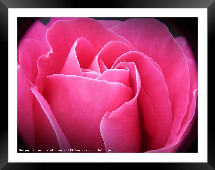 Sweet Rose Framed Mounted Print by michelle whitebrook