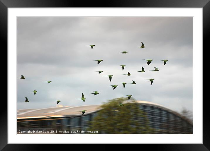 T5 flght formation Framed Mounted Print by Mark Cake