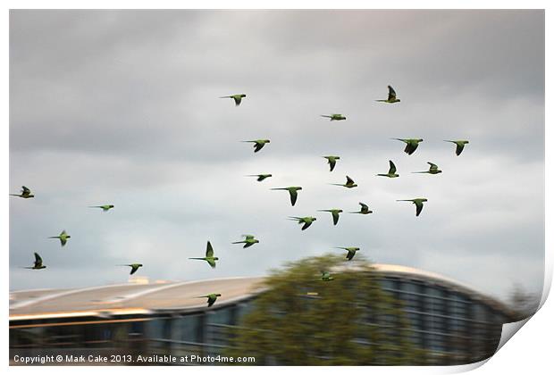 T5 flght formation Print by Mark Cake