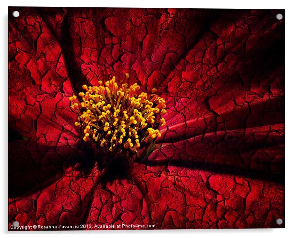 Deep Red. Acrylic by Rosanna Zavanaiu