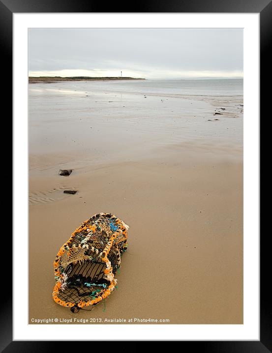 lobster pot washed up on beach Framed Mounted Print by Lloyd Fudge