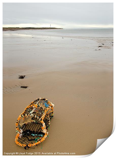 lobster pot washed up on beach Print by Lloyd Fudge