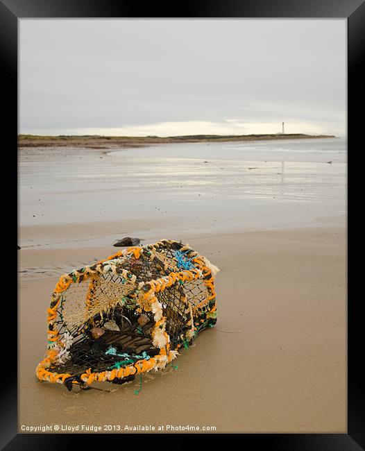 lobster pot laying on beach Framed Print by Lloyd Fudge