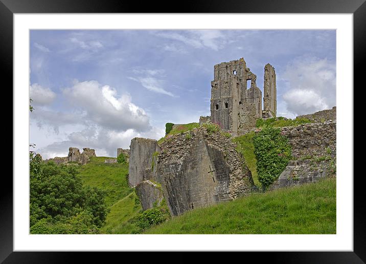 Corfe Castle Framed Mounted Print by Tony Murtagh