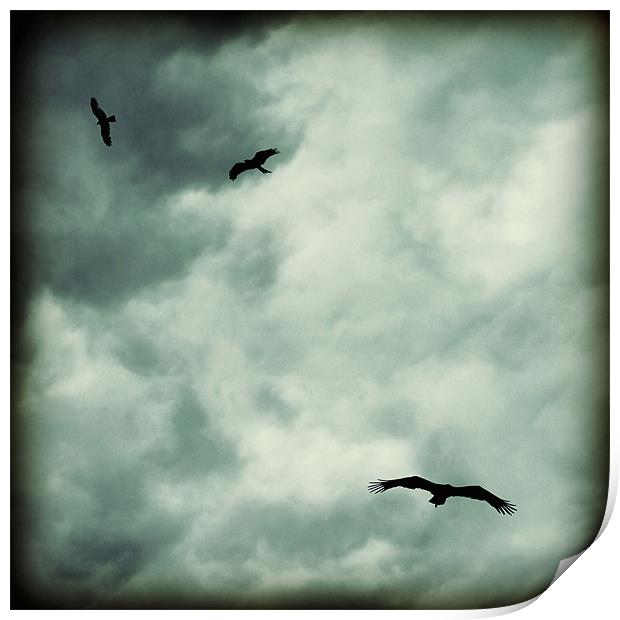 eagles and storm clouds Print by Heather Newton