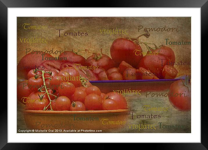 Tomatoes from around the World Framed Mounted Print by Michelle Orai