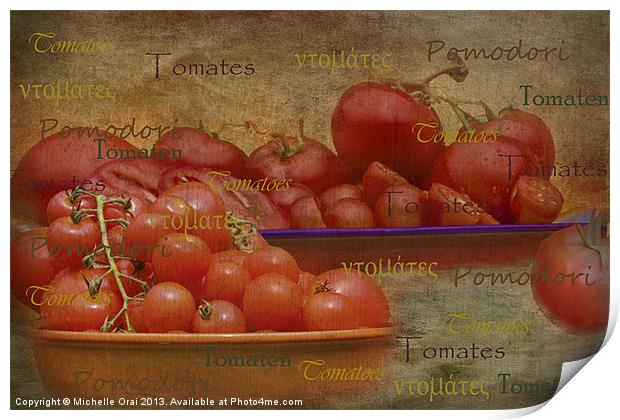 Tomatoes from around the World Print by Michelle Orai