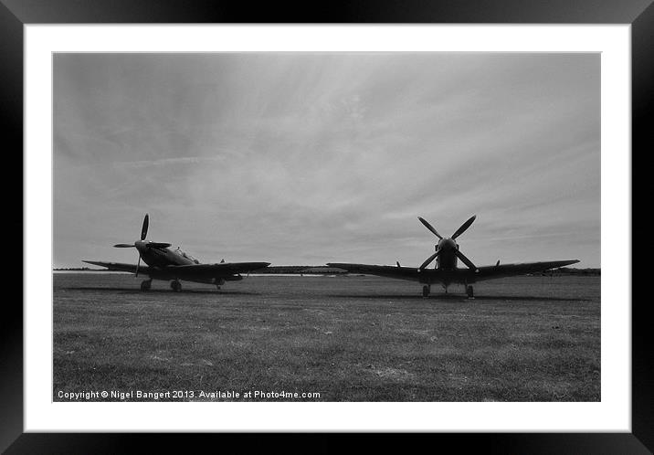 Waiting to Fly Framed Mounted Print by Nigel Bangert